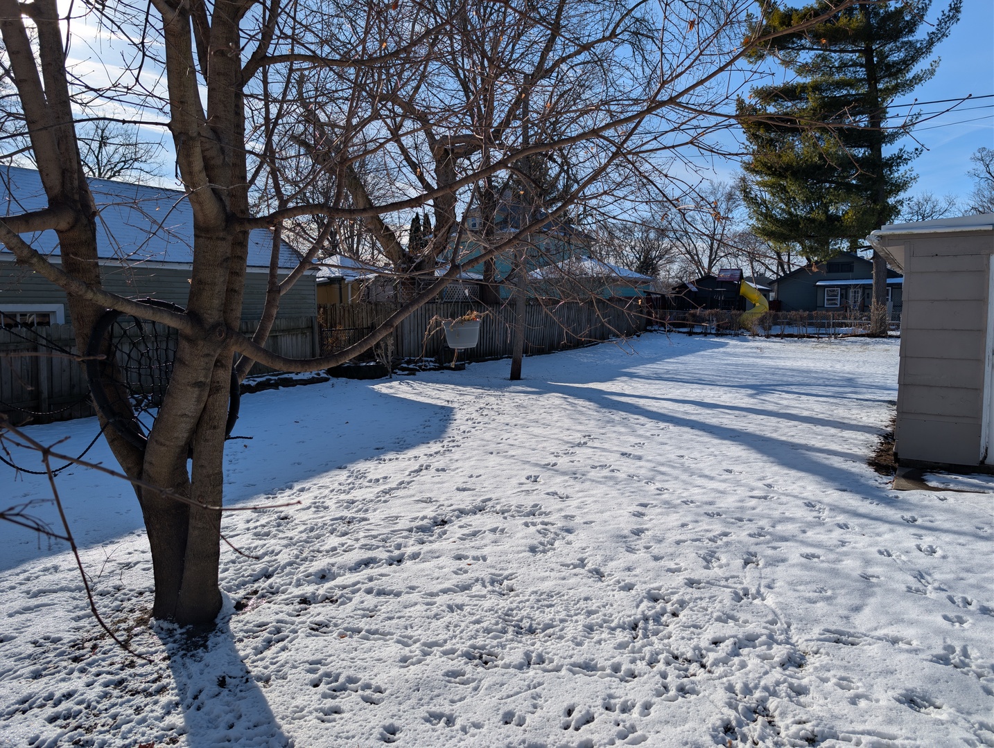 920 Augusta Avenue Elgin, IL 60120 - Photo 3 of 16 a view of a yard with plants and trees