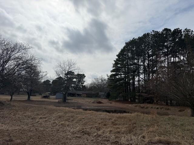 1525 Mansfield Road Reno, TX 75462 - Photo 22 of 34 a view of a yard with a trees