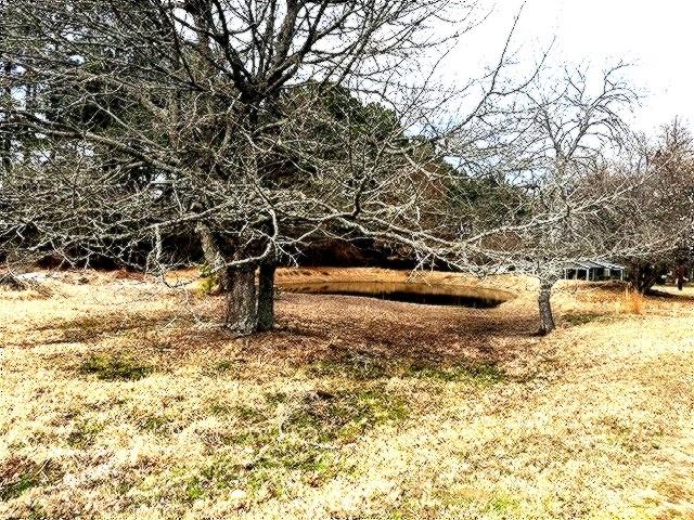 1525 Mansfield Road Reno, TX 75462 - Photo 33 of 34 a view of yard covered with snow