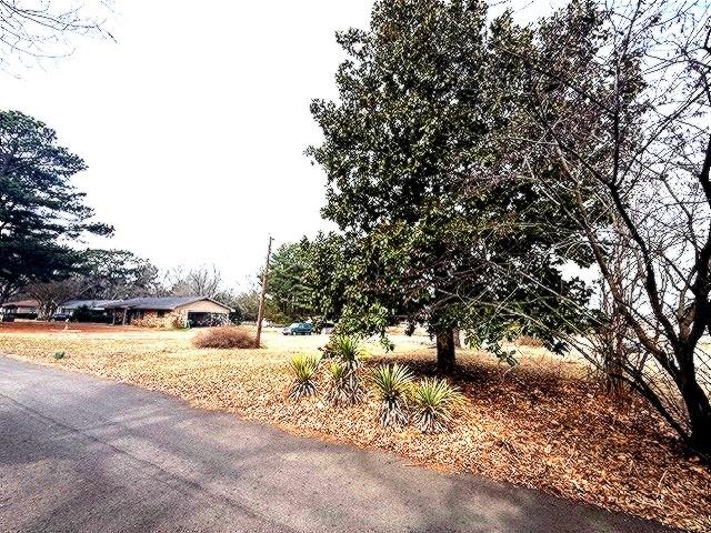 1525 Mansfield Road Reno, TX 75462 - Photo 5 of 34 a view of a yard with a tree
