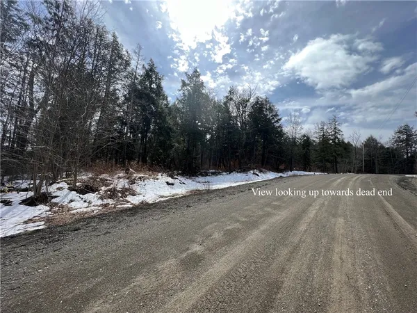 $43,900 | Lot 3 Burdick Hill Road, Otego, NY 13825