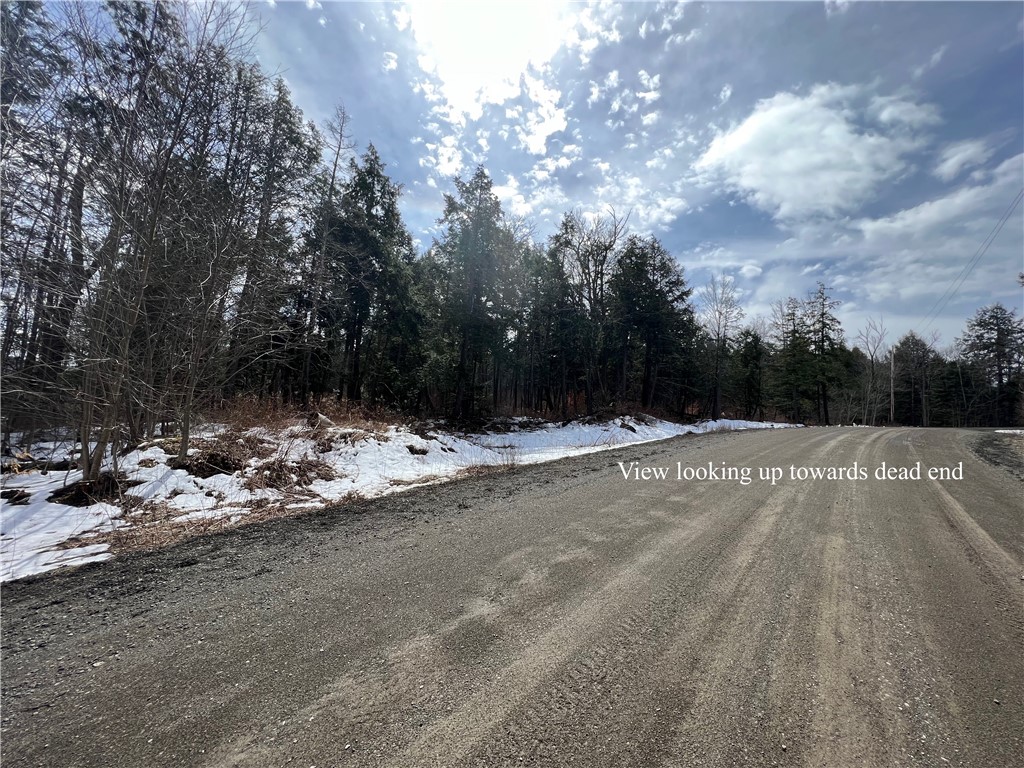 Lot 3 Burdick Hill Road Otego, NY 13825 - Photo 5 of 9