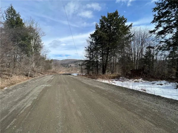 $43,900 | Lot 3 Burdick Hill Road, Otego, NY 13825