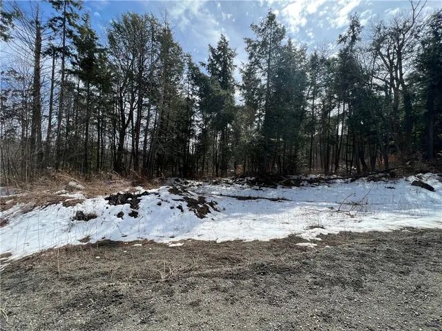 $43,900 | Lot 3 Burdick Hill Road, Otego, NY 13825