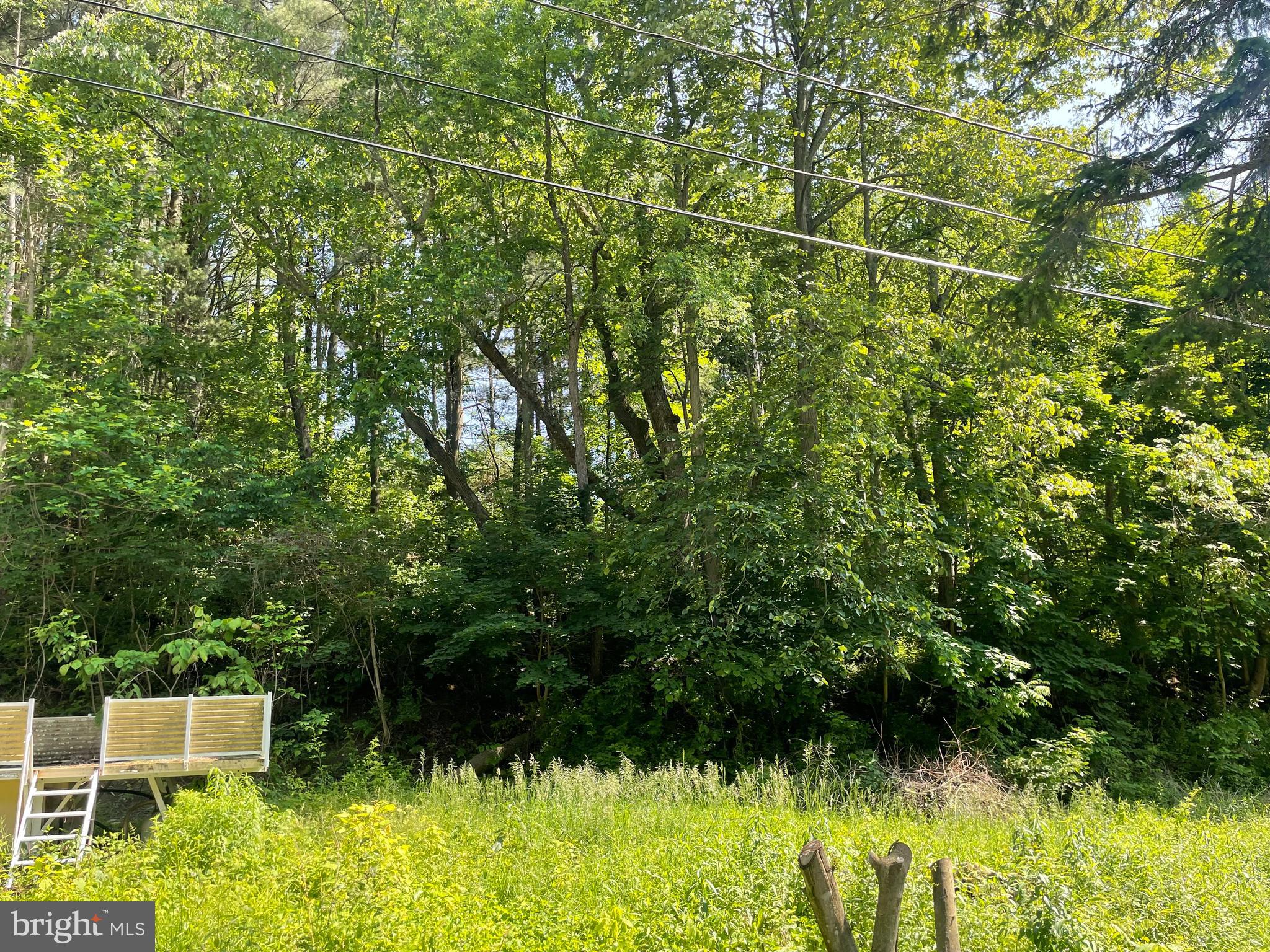 14602 Michael Road Northeast Cumberland, MD 21502 - Photo 8 of 20 a view of a garden