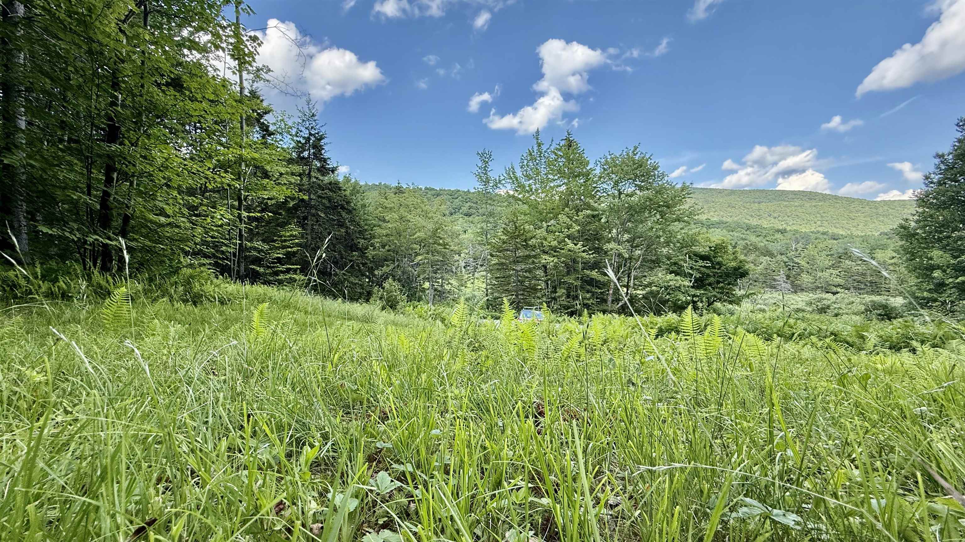 2075 Codding Hollow Road Johnson, VT 05656 - Photo 7 of 59