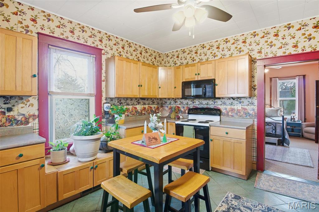 203 East Mill Street Waterloo, IL 62298 - Photo 16 of 45