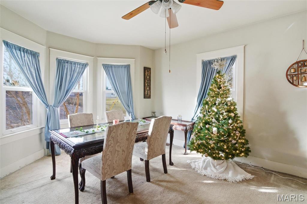 203 East Mill Street Waterloo, IL 62298 - Photo 20 of 45