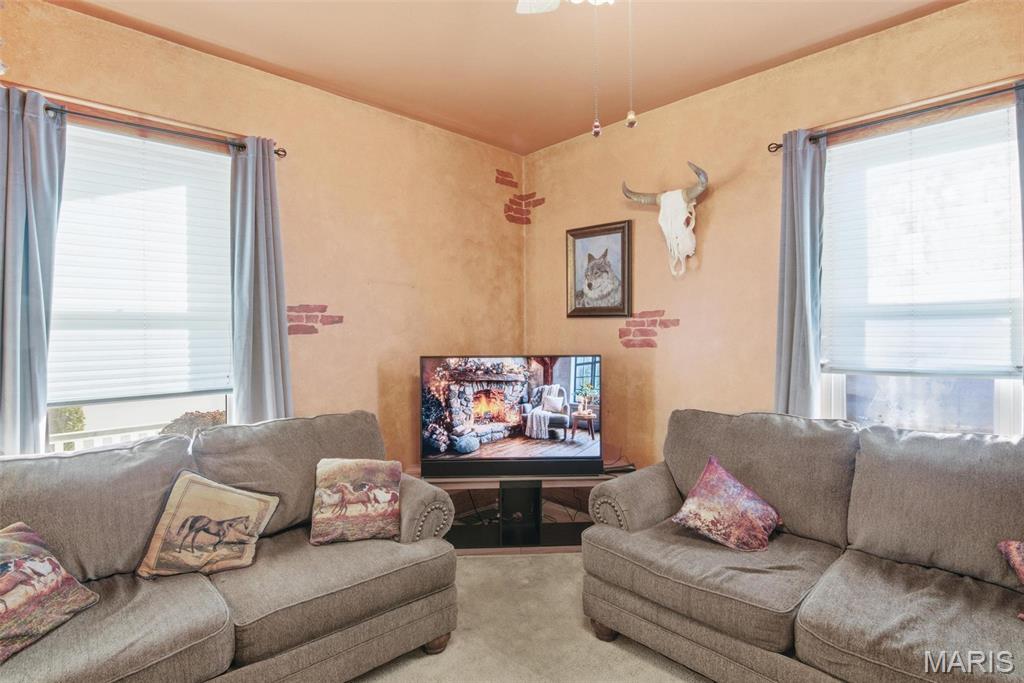 203 East Mill Street Waterloo, IL 62298 - Photo 24 of 45