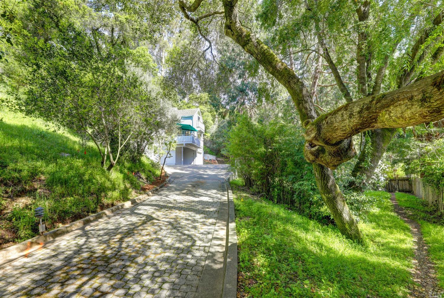 6 Berry Lane Ross, CA 94957 - Photo 1 of 1 a view of yard