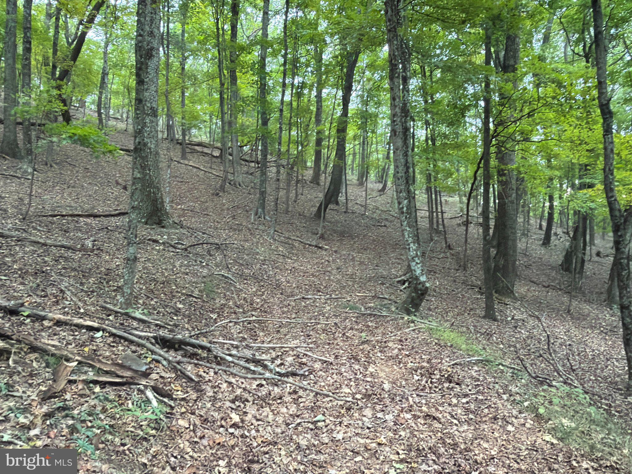 24200 East Hancock Road Flintstone, MD 21530 - Photo 104 of 126 Gallery Image 104