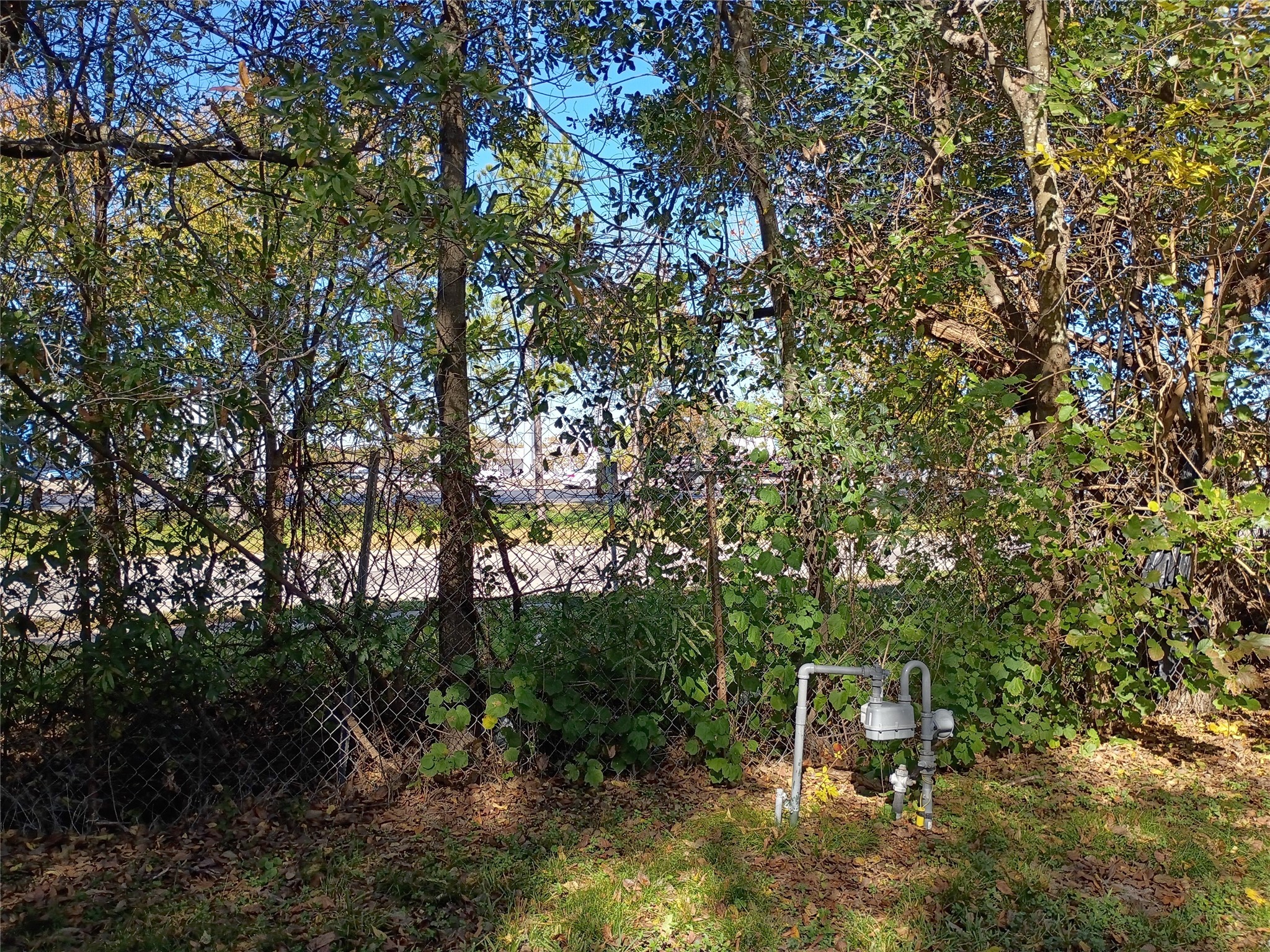 5617 Malmedy Road Houston, TX 77033 - Photo 12 of 12 Backyard