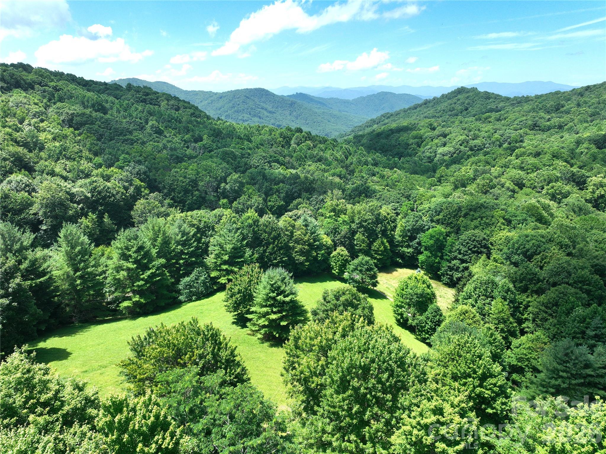 299 Basswood Road Hot Springs, NC 28743 - Photo 30 of 47