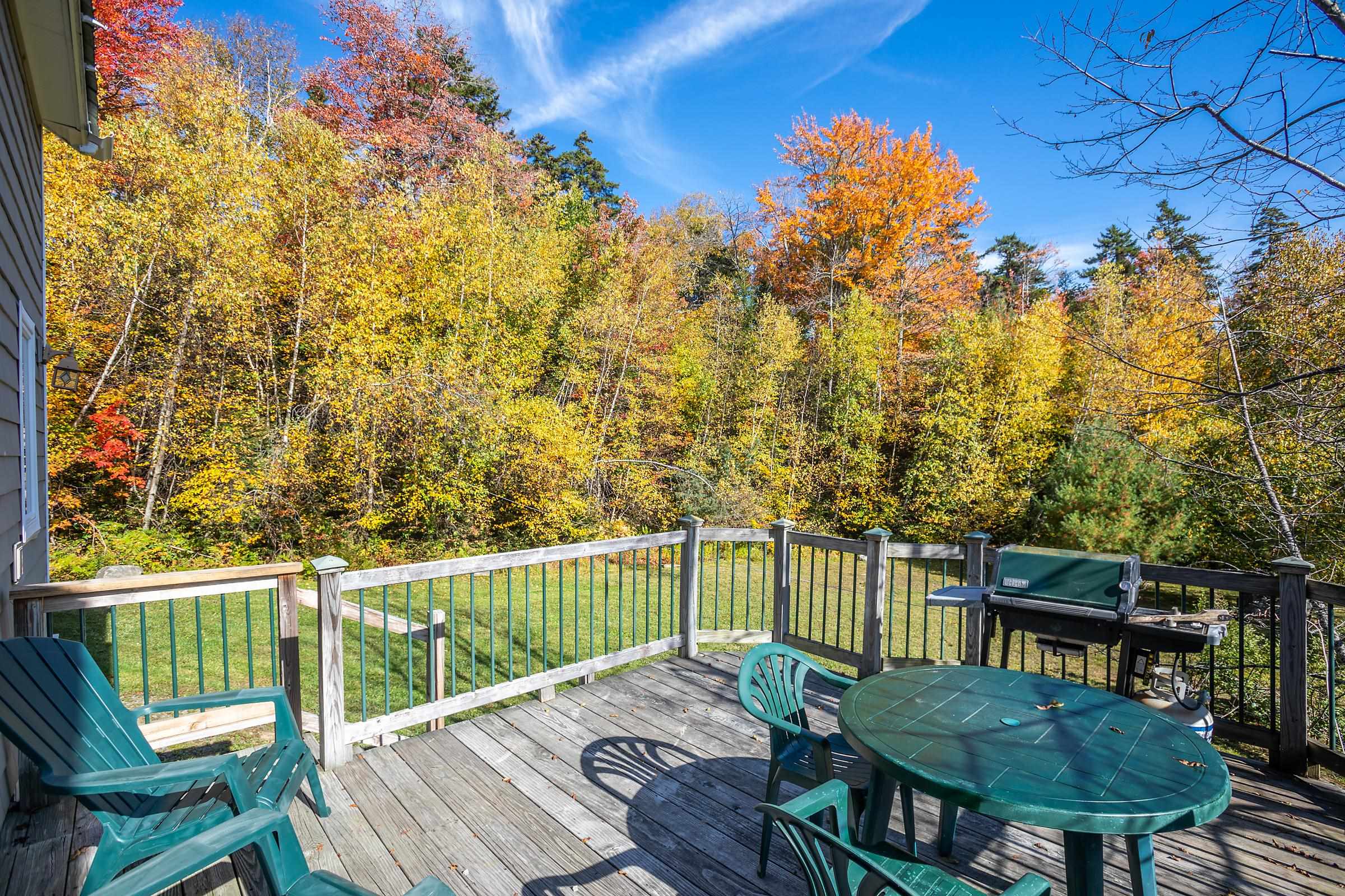 167 Leon Stocker Drive Stratton, VT 05360 - Photo 34 of 39