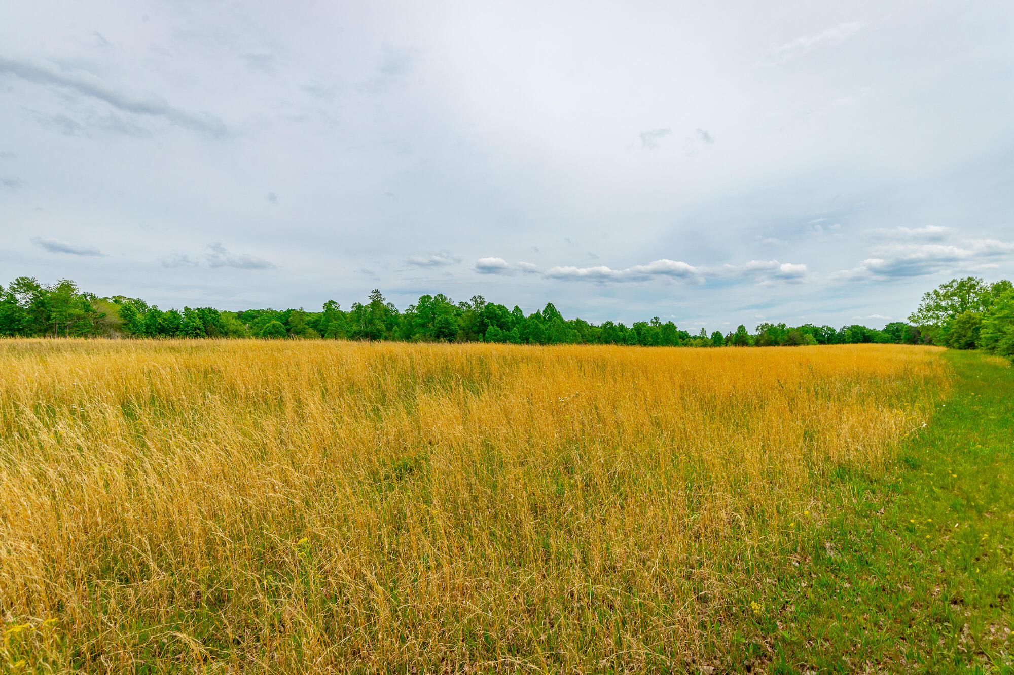 0 Ray Gadd Road Graysville, TN 37338 - Photo 19 of 109 Ray Gadd Road Lot HD-6