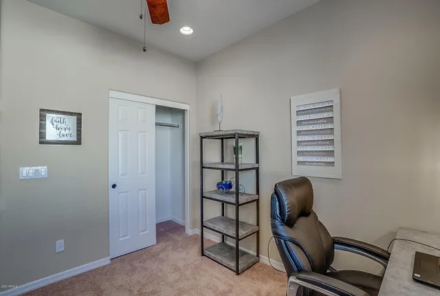 a view of a palm tree next to a yard