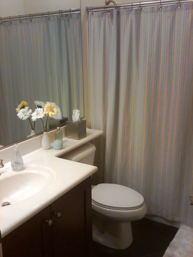 18617 Verdin Road Goodyear, AZ 85338 - Photo 9 of 13 Bathroom
