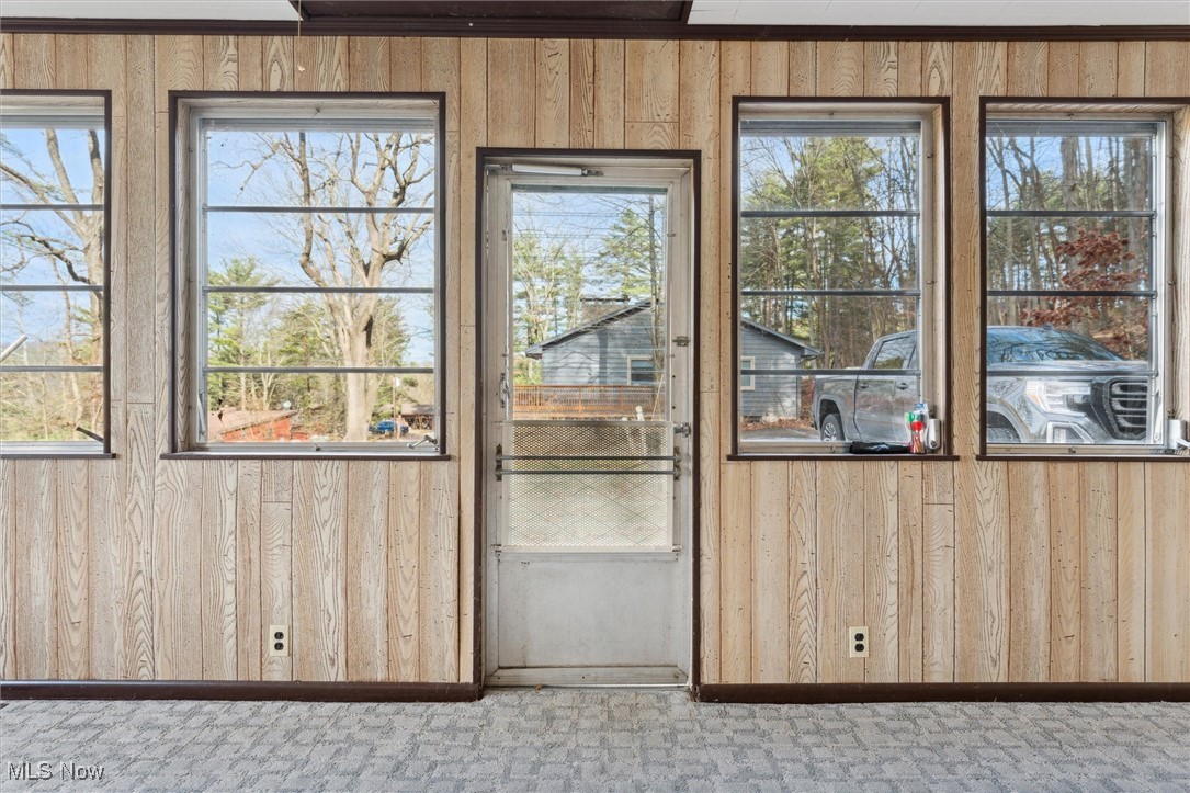 86413 North Bay Road Scio, OH 43988 - Photo 5 of 45 Doorway to outside with wood walls and carpet floors