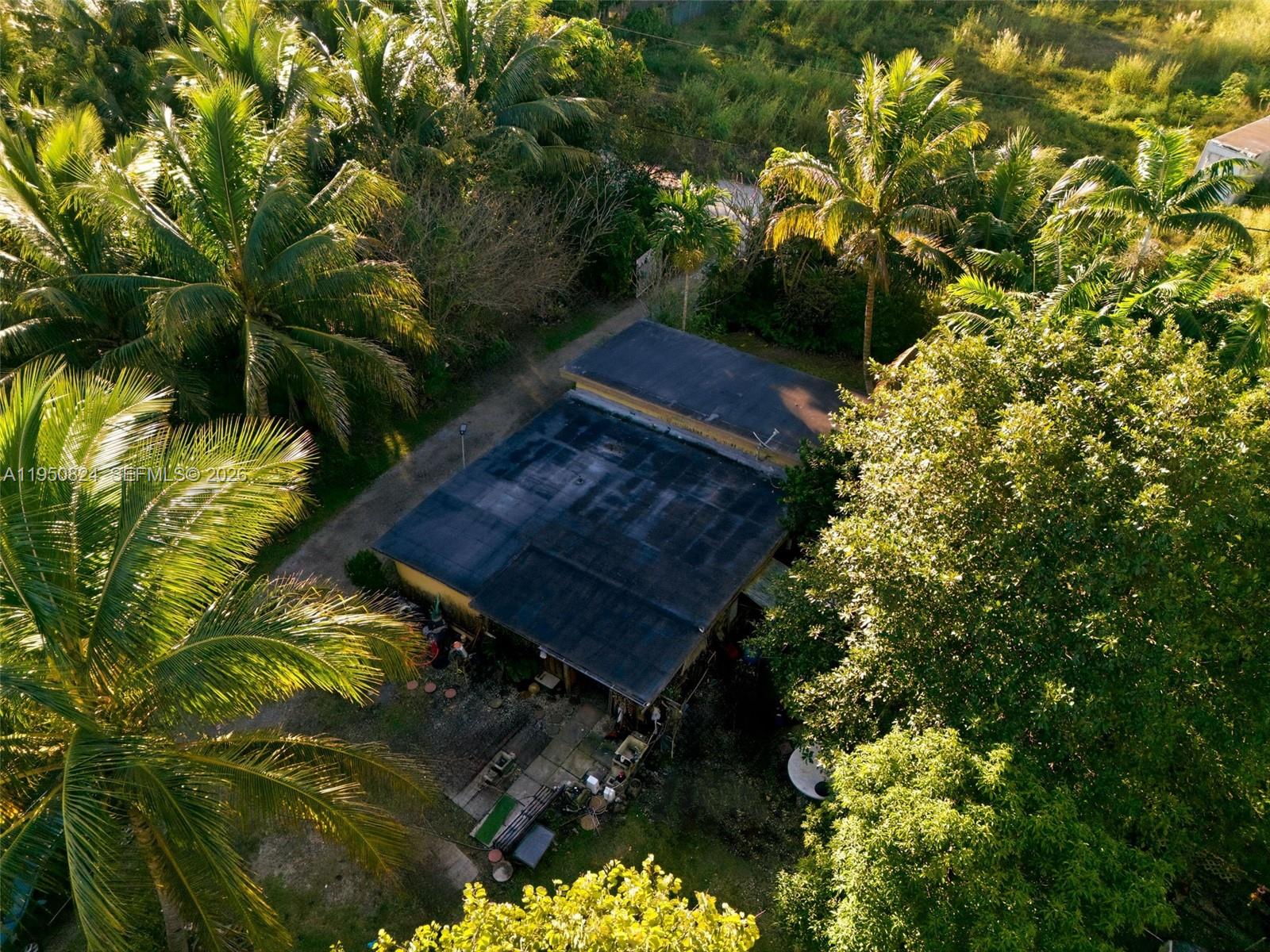 12325 Southwest 240th Street Homestead, FL 33032 - Photo 11 of 11 a picture of plants
