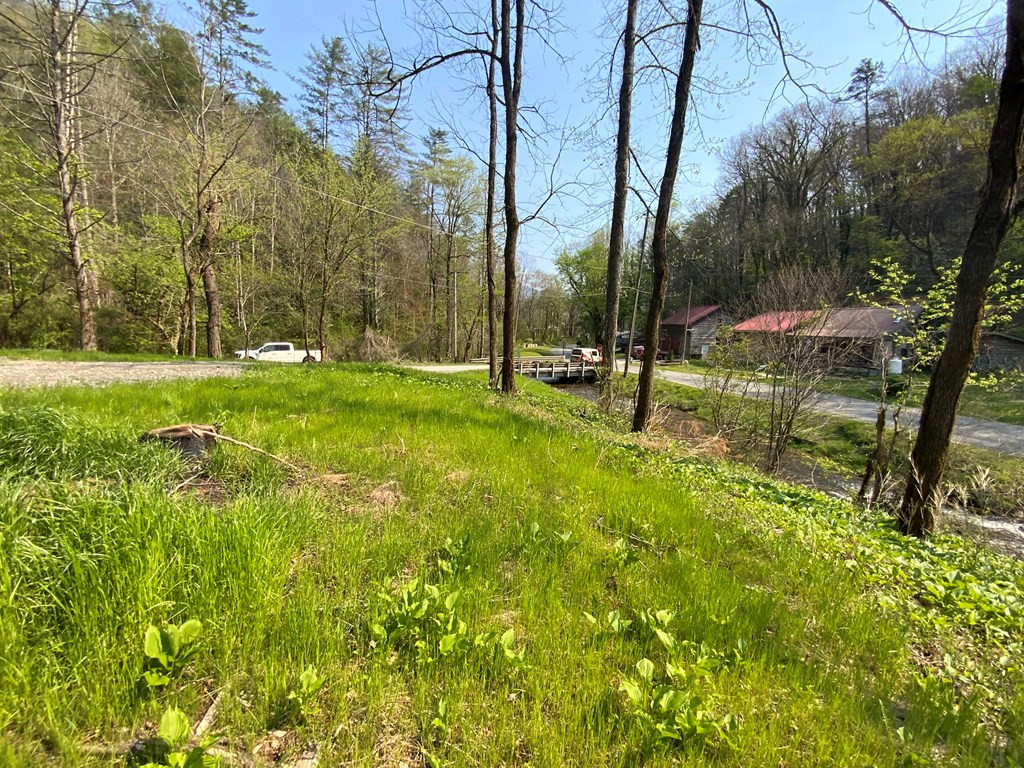 1000 Hyatt Creek Road Marble, NC 28905 - Photo 13 of 15