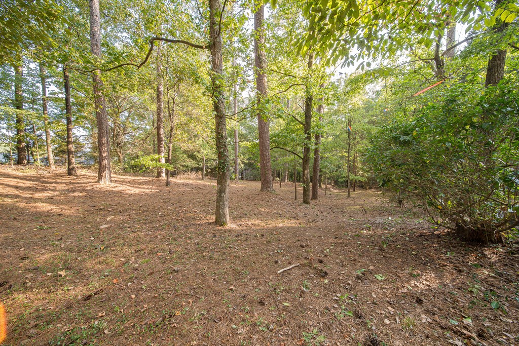 408 Double Churches Road Columbus, GA 31904 - Photo 51 of 51 Gallery Image 51