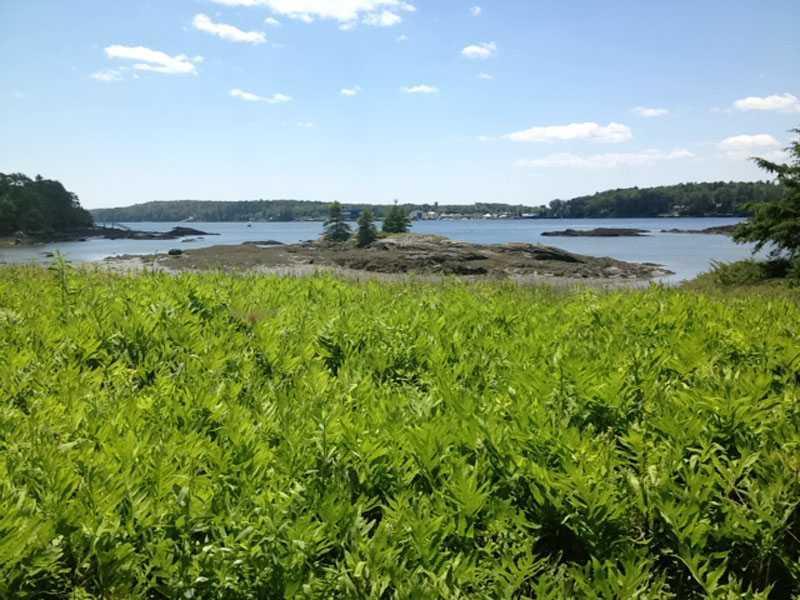 0 S Road Walpole, ME 04573 - Photo 3 of 12 View.