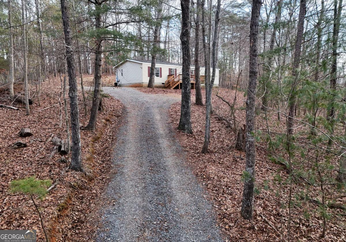273 Rose Ray Road Ellijay, GA 30540 - Photo 7 of 32 a view of a yard with large trees