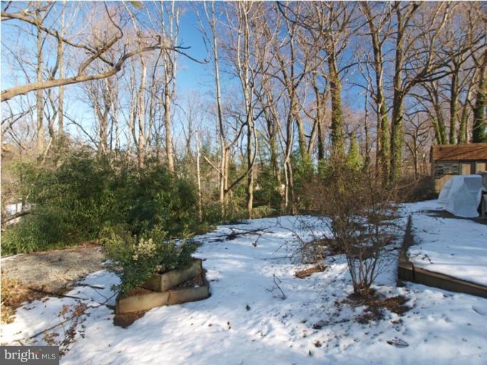 711 North Belgrade Road Silver Spring, MD 20902 - Photo 8 of 25 a view of backyard with outdoor seating and trees