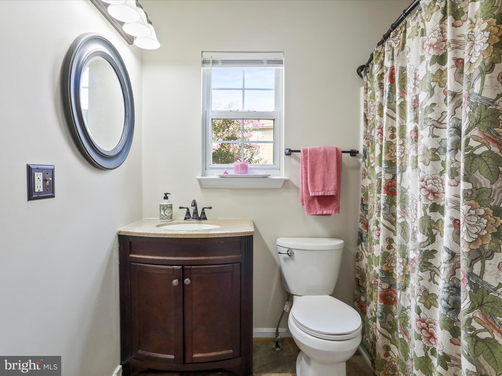 100 Lloyds Road Winchester, VA 22602 - Photo 20 of 39 a bathroom with a toilet sink vanity and mirror