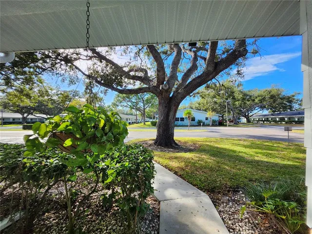 a view of a yard with a tree