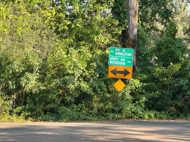 a view of room with window and hardwood