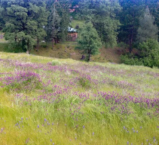 a view of a house with pool and garden