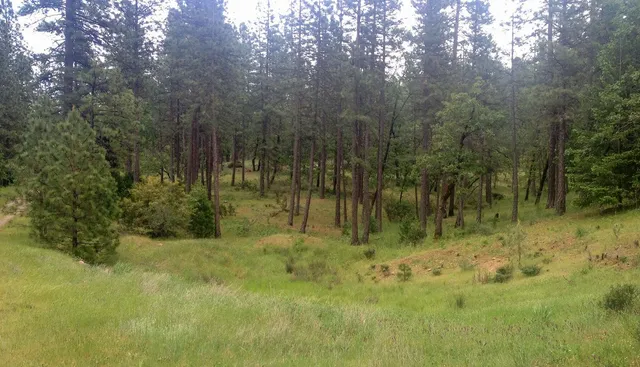 a view of swimming pool with an outdoor space and seating area