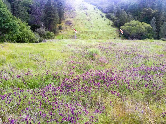 a view of a room with window and hardwood