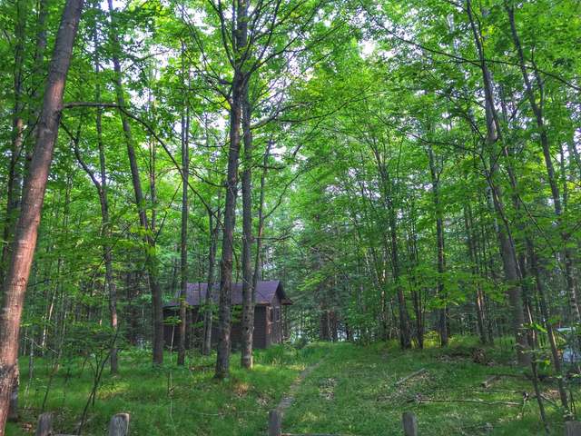 2699 South Manuel Lake Road Phelps, WI 54554 - Photo 8 of 19 Gallery Image 8