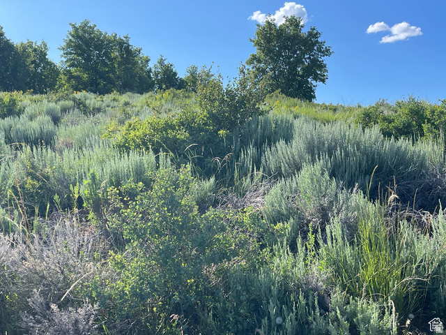 200 Mill Farm Road Montpelier, ID 83254 - Photo 13 of 47 View of undeveloped land