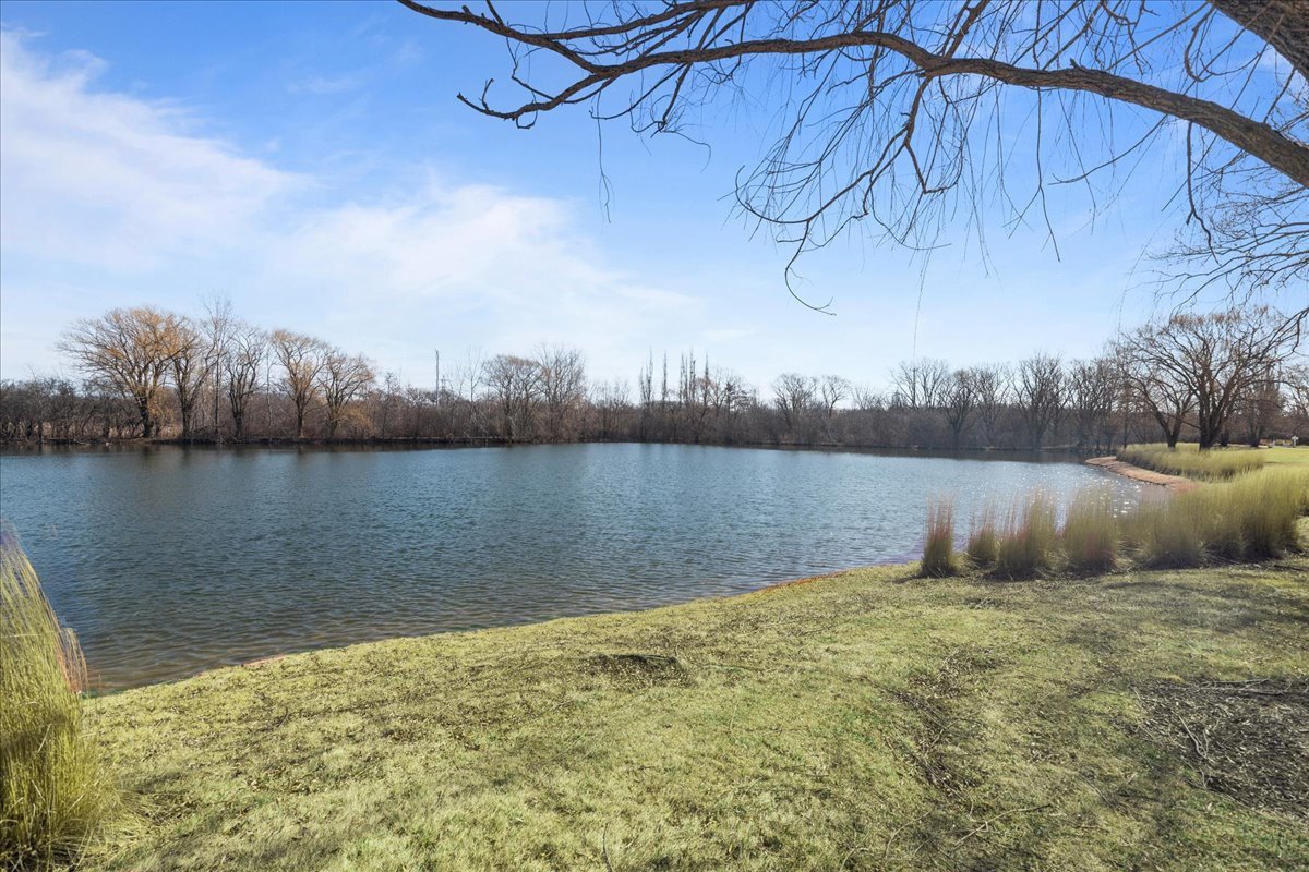 891 Carroll Road Lake Forest, IL 60045 - Photo 35 of 39 a view of lake with green space