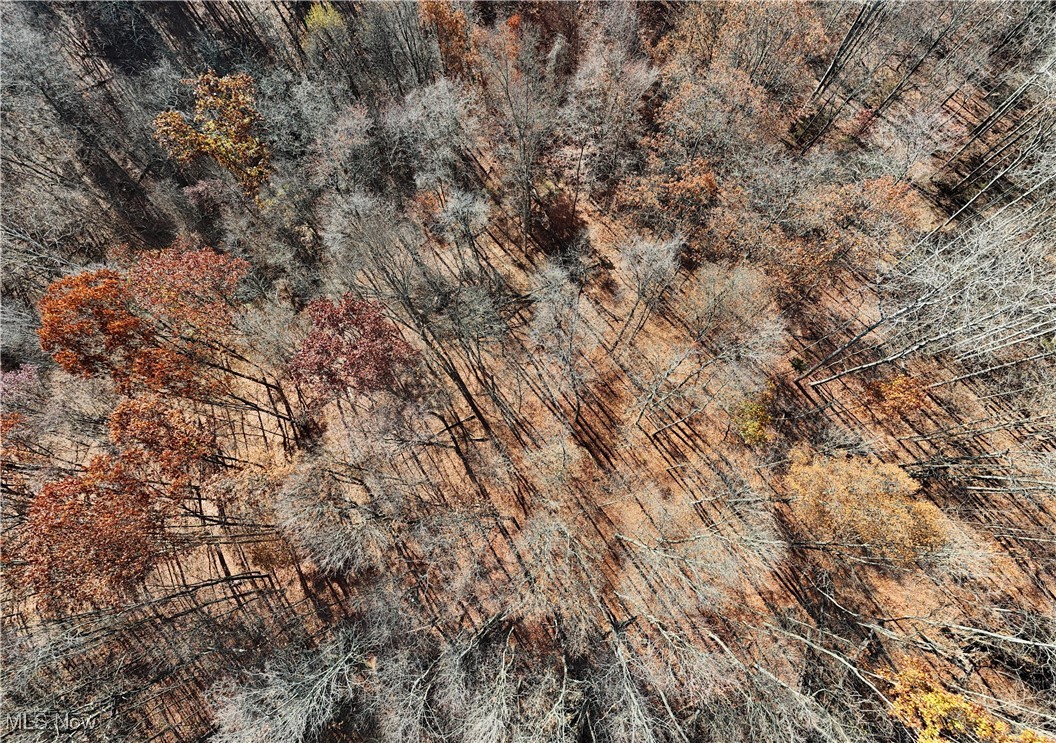 Sparling Road Waterford, OH 45786 - Photo 25 of 30 Bird's eye view