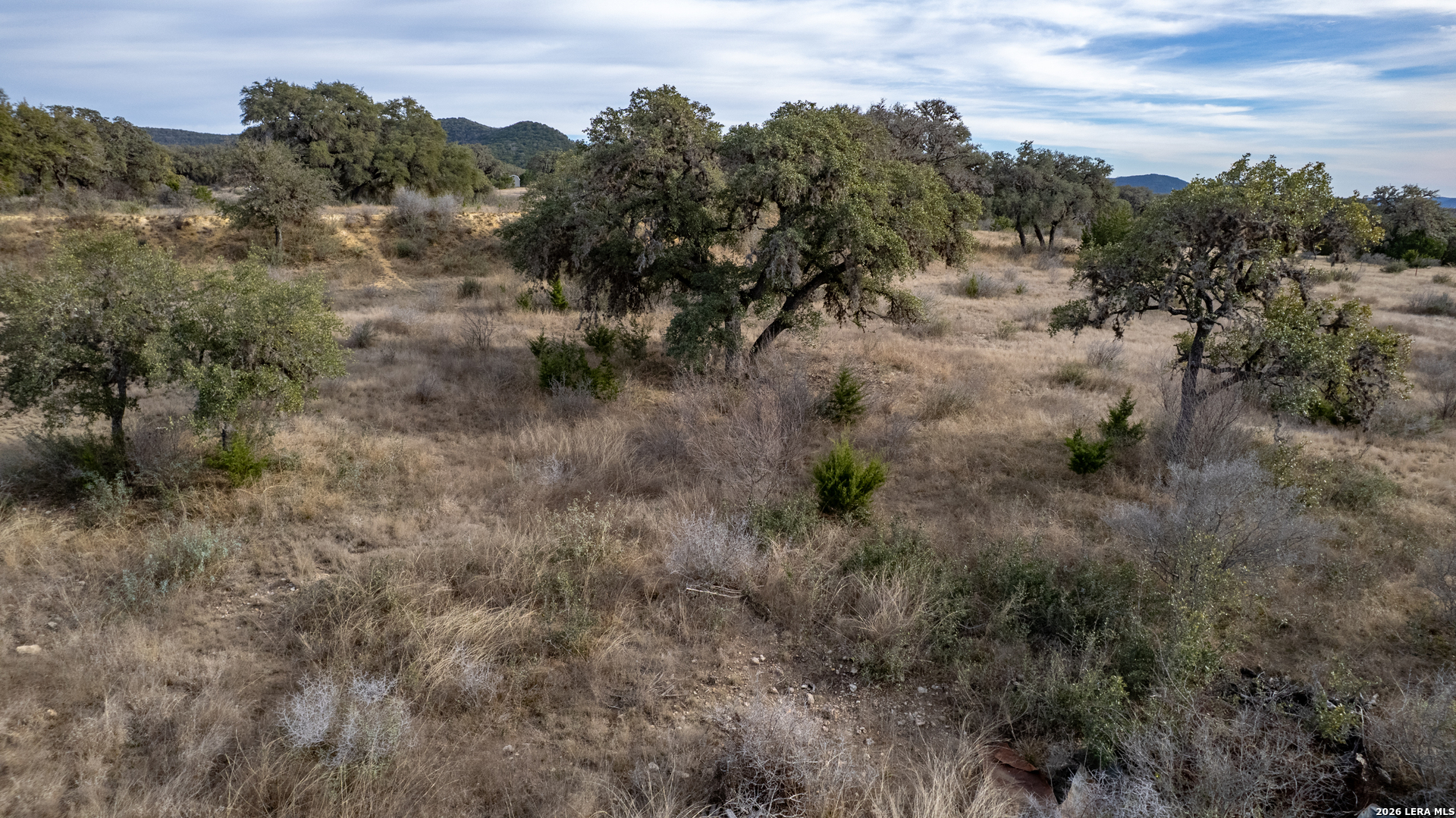 0 Little Dry Frio Road Leakey, TX 78873 - Photo 5 of 12 a view of a yard in a forest