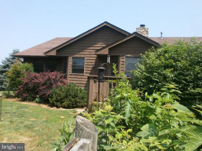 1767 Castleman Road Berryville, VA 22611 - Photo 13 of 19 Exterior (Rear)