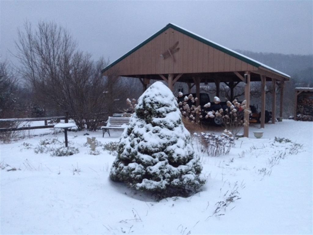 1640 White Sands Road Greeneville, TN 37743 - Photo 34 of 34 Snowy Afternoon