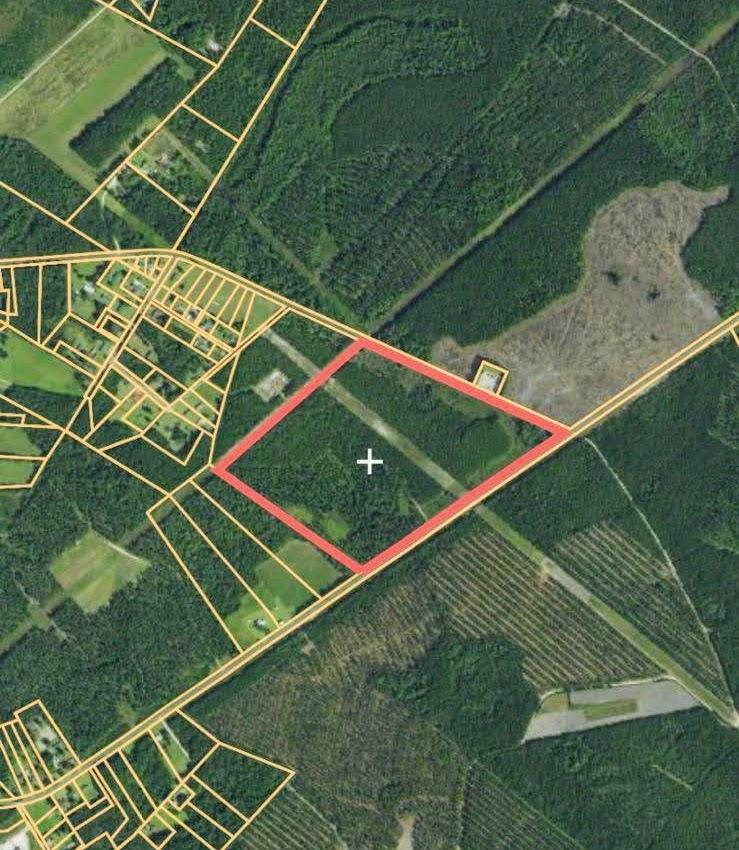 1 Henderson Road Varnville, SC 29944 - Photo 1 of 10 image