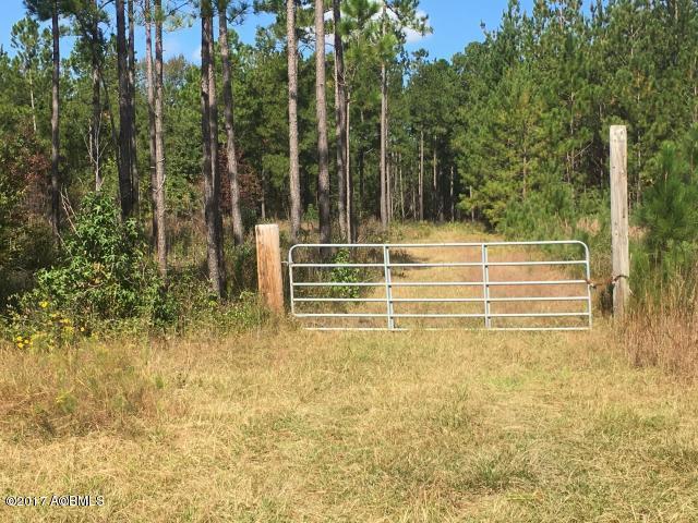 1 Henderson Road Varnville, SC 29944 - Photo 2 of 10 20170522141539322856000000-o