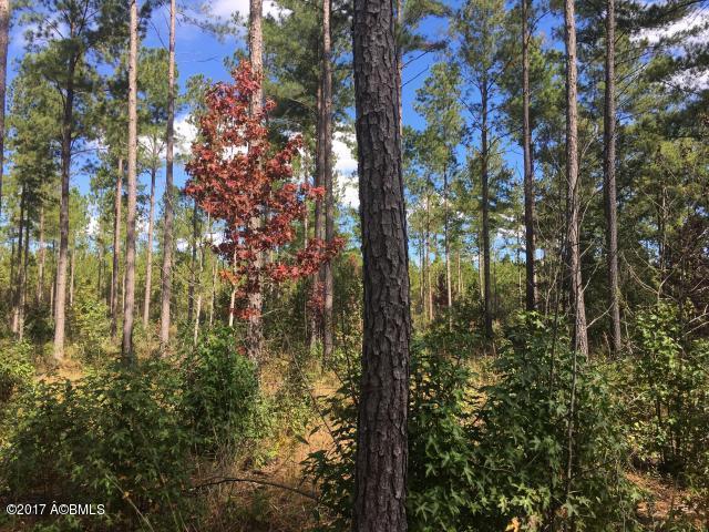 1 Henderson Road Varnville, SC 29944 - Photo 5 of 10 20170522141542400306000000-o