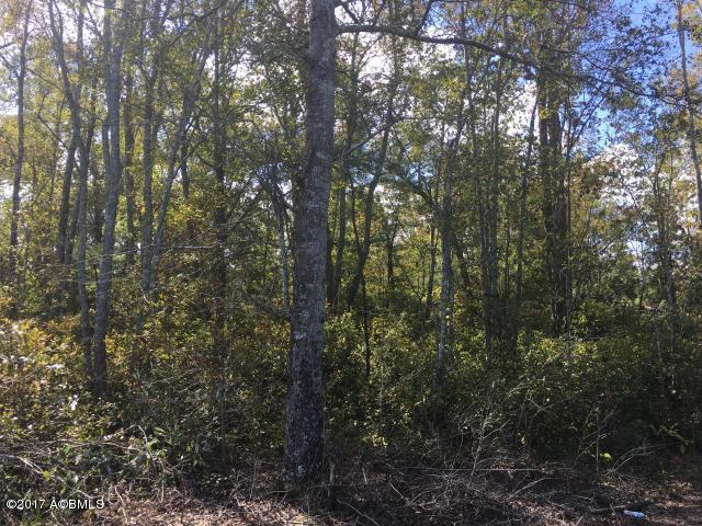 1 Henderson Road Varnville, SC 29944 - Photo 7 of 10 20170522141536751580000000-o