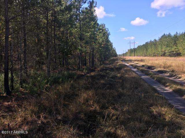 1 Henderson Road Varnville, SC 29944 - Photo 8 of 10 20170522141535214389000000-o