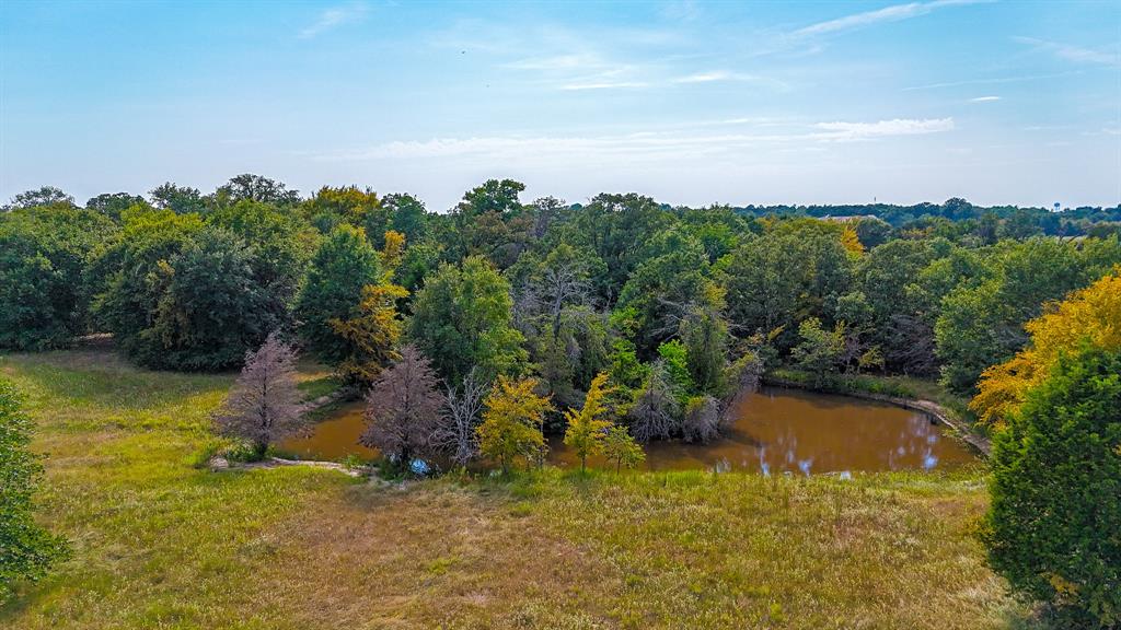 205 Peach Tree Road Mabank, TX 75156 - Photo 32 of 40 an aerial view of a houses with a yard