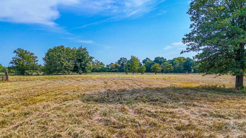 205 Peach Tree Road Mabank, TX 75156 - Photo 34 of 40 a view of an outdoor space and a yard