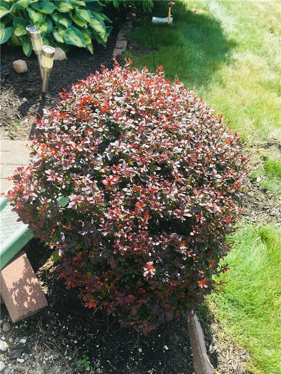 9760 Highpoint Ridge Drive, Unit 101 Fishers, IN 46037 - Photo 35 of 42