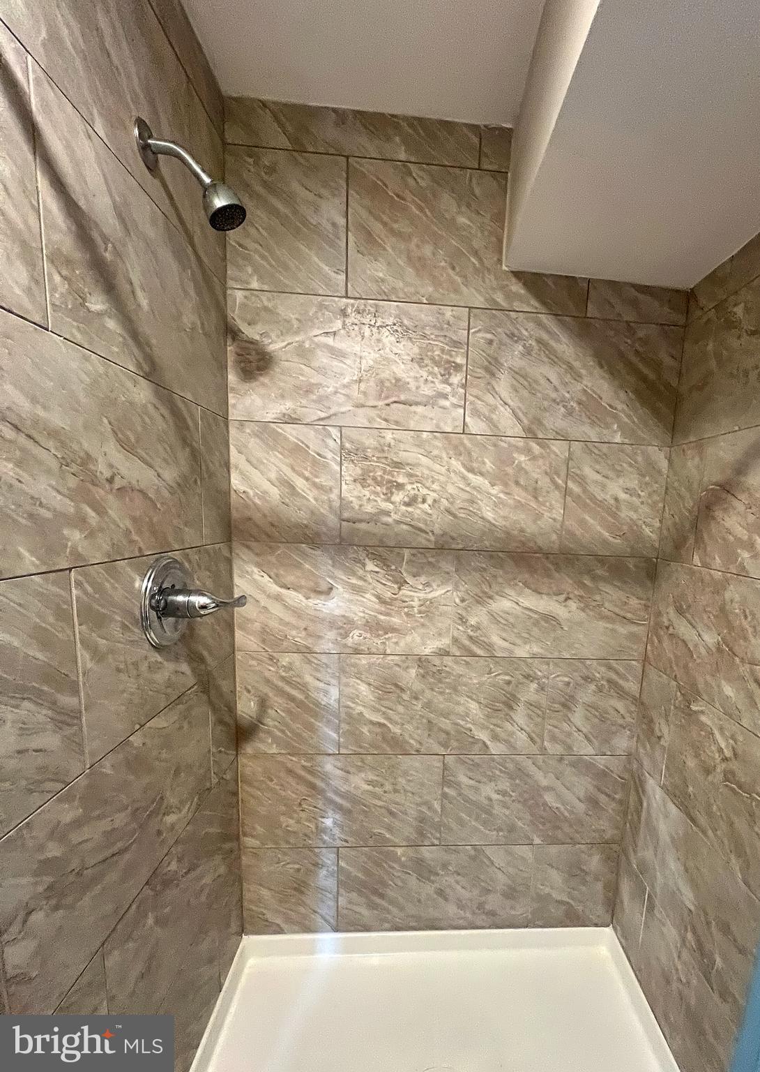 1234 West Cross Street Baltimore, MD 21230 - Photo 14 of 19 a bathroom with a shower